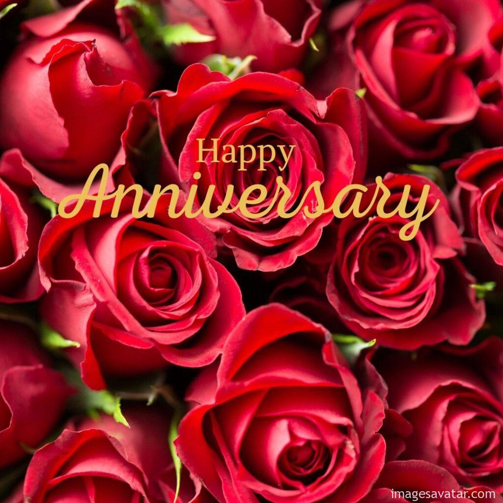red roses to celebrate anniversary day