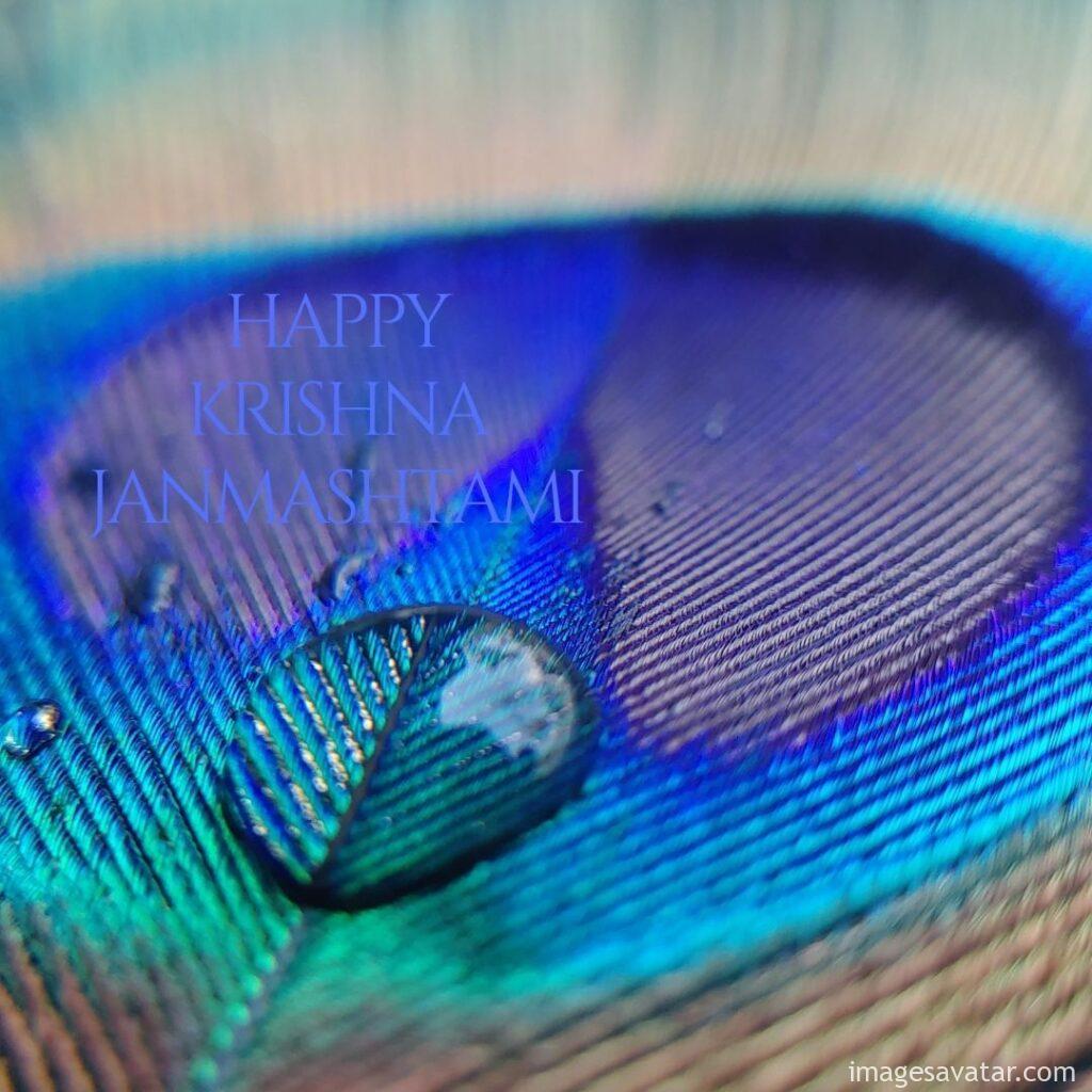 happy krishna janmashtami